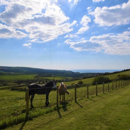 1 Bed In Boscastle Lpenc别墅 外观 照片