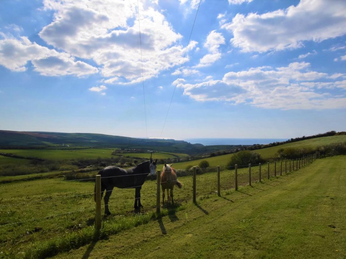 1 Bed In Boscastle Lpenc别墅 外观 照片